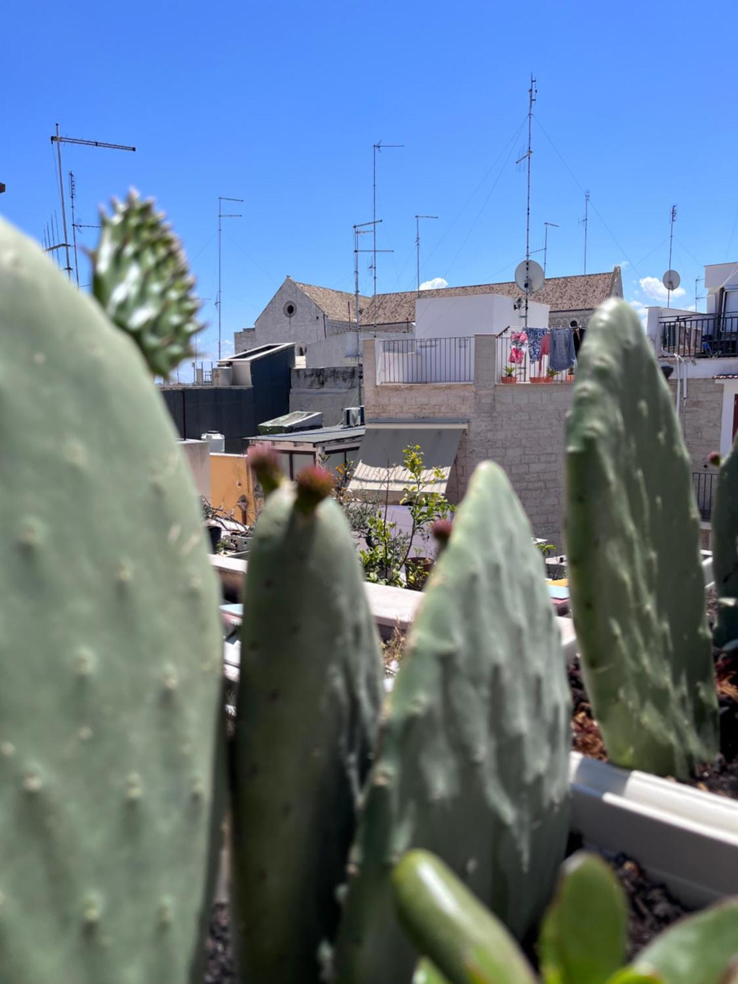 Casa Franca - Terracielo A Vecchia Vakantiehuis Bari