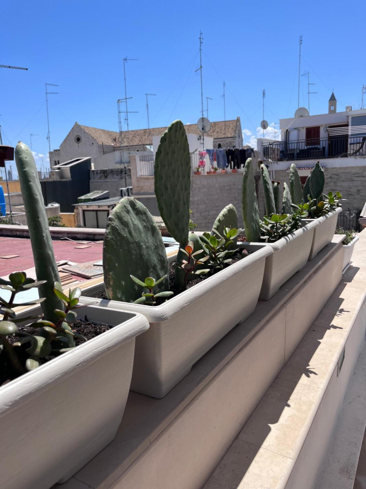 Casa Franca - Terracielo A Vecchia Vakantiehuis